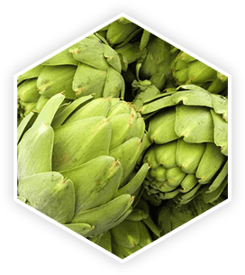 ProstaVive is made of Artichoke Extract