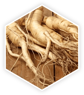 ProstaVive is made of Panax Ginseng
