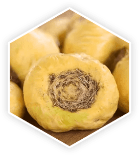 ProstaVive is made of Maca Root